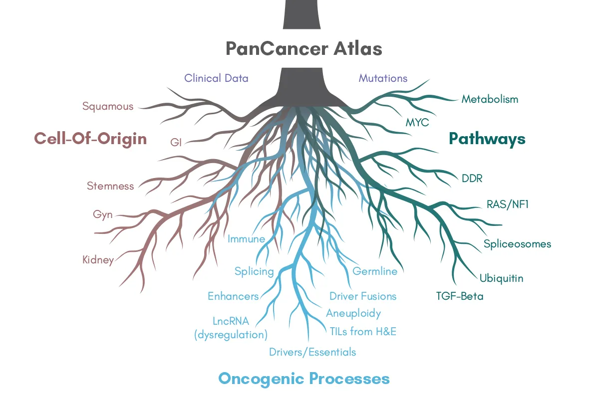 Pan Cancer